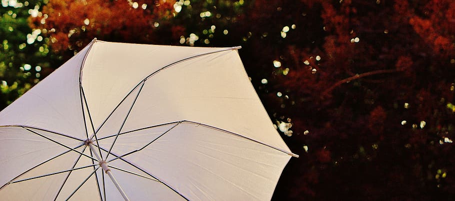 parasol, screen, sun, sunlight, protection, light, shade tree, sun protection, white, linkage