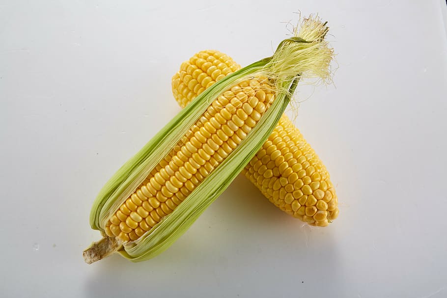 whole grains, corn, grain, vegetable, food, food and drink, healthy eating, wellbeing, yellow, corn on the cob