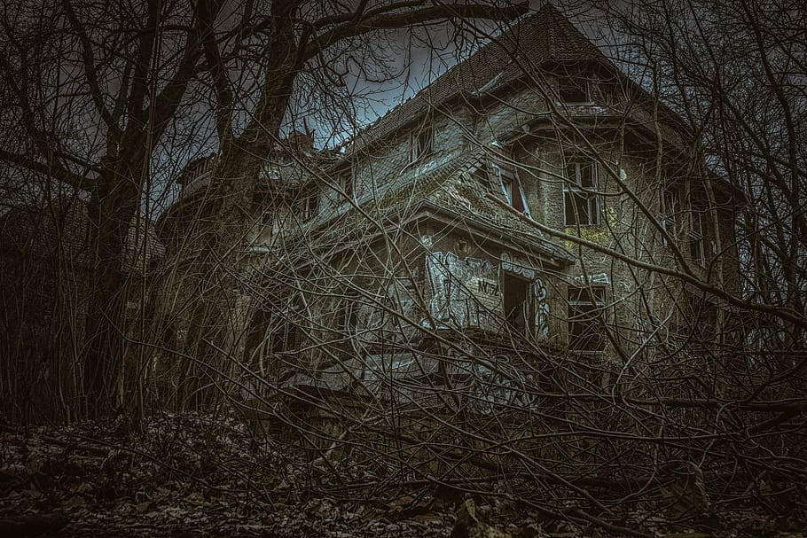 gray, concrete, house, trees, lost place, homes, leave, uninhabited, gloomy, broken