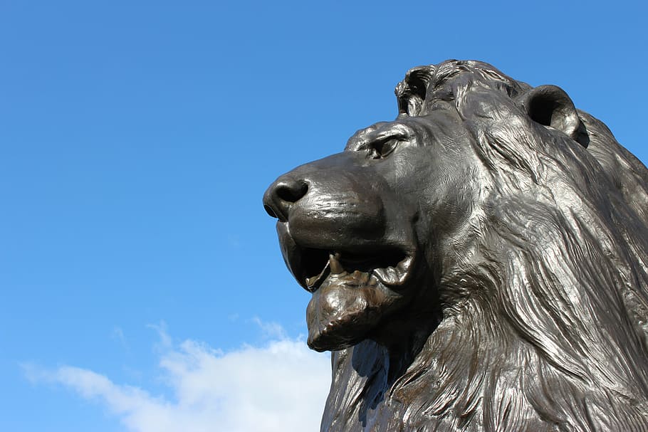 close-up photo, lion statue, leo, london, trafalgar square, statue, sky, sculpture, animal, mammal