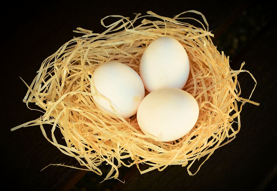 three, white, eggs, nest, black, background, egg, white eggs, nutrition, chicken eggs