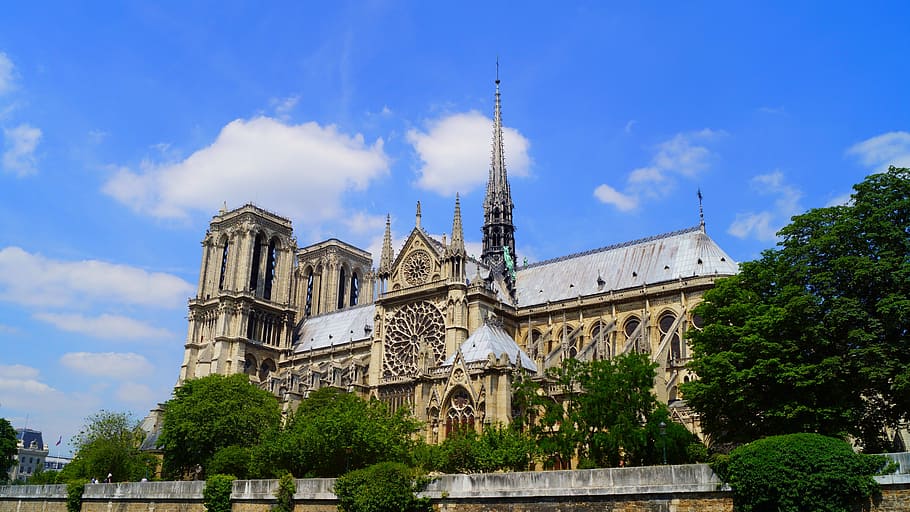 brown concrete cathedral, paris, france, travel, architecture, paris france, building, historic, summer, church