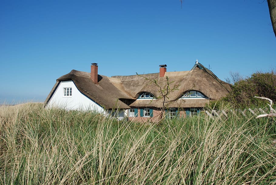Ahrenshoop, Darss, Reed, Thatched Roof, fischland, baltic sea, thatched, roof, roofs, home
