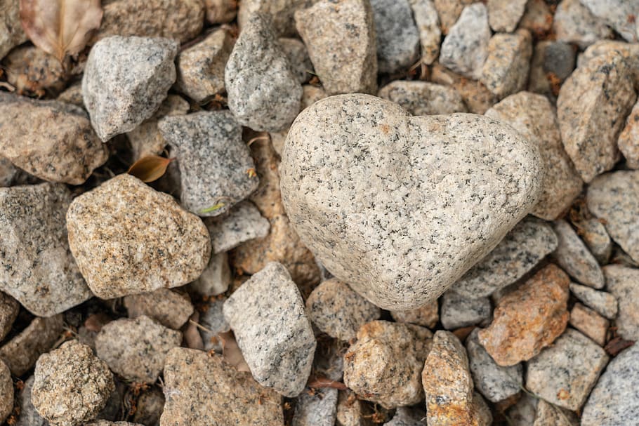 Heart of stone перевод