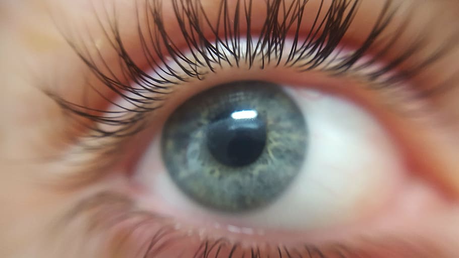 human eye, eye, eyelashes, eyeball, blue-eyed, blue eyes, focus point, skin, macro, model