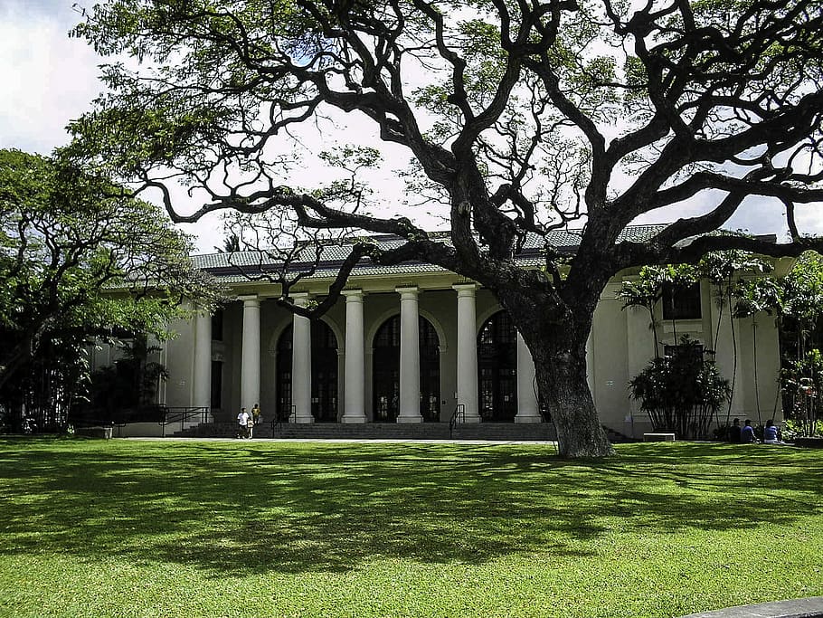 Perpustakaan Negara Bagian Hawaii, Honolulu, bangunan, foto, hawai, domain publik, Amerika Serikat, pohon, arsitektur, di luar ruangan
