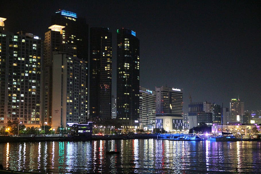 gray, high-rise, buildings, night, night view, city, sea, busan, haeundae beach, gwangalli