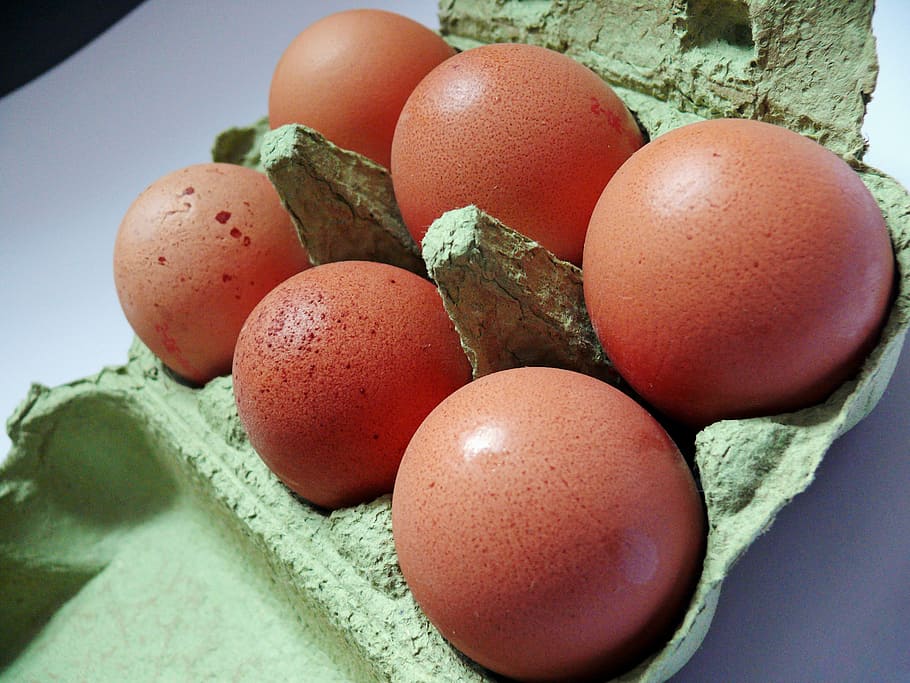 卵, 卵のカートン, 鶏の卵, 食品, 卵の箱, 茶色の卵, 卵の包装, 栄養, 10erパック, 卵の殻