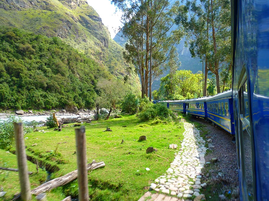 blue, railway, Train, Andes, Peru, zugfahrt, machu picchu, nature, tree, footpath