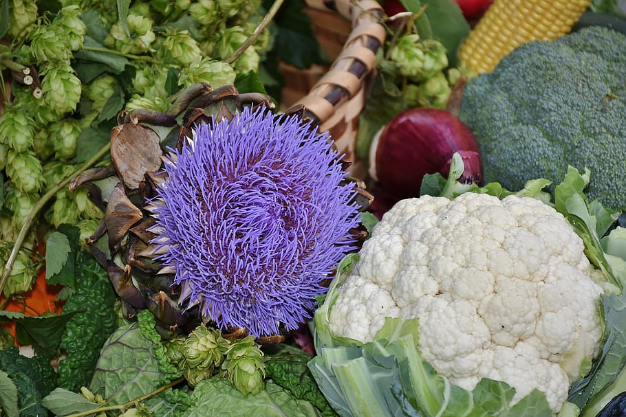 close-up photo, cauliflower, broccoli, pile, vegetables, red cabbage, savoy, potato, food, market