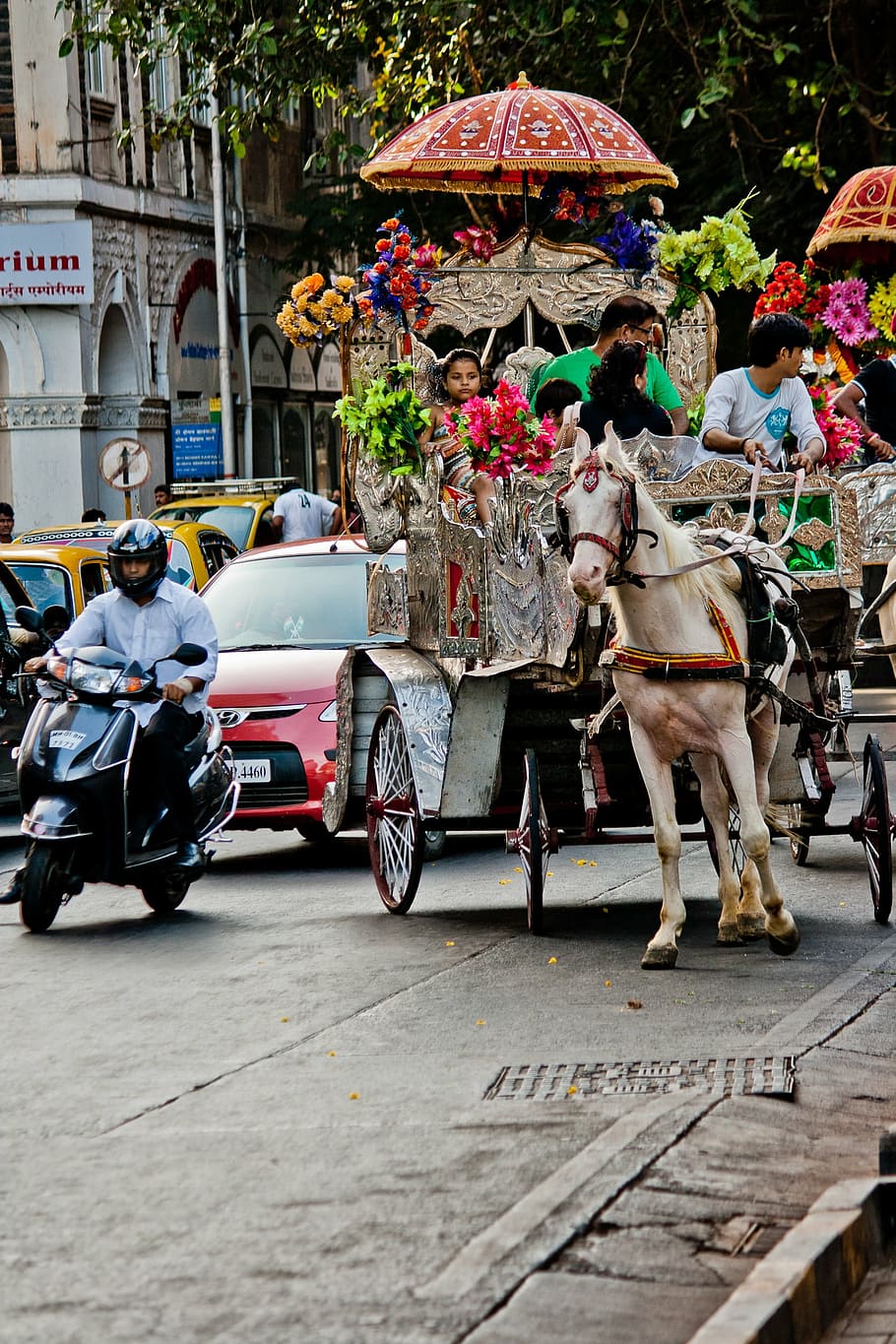 horse carriage, horse, victorian, india, traffic, street, road, mumbai, bombay, asia