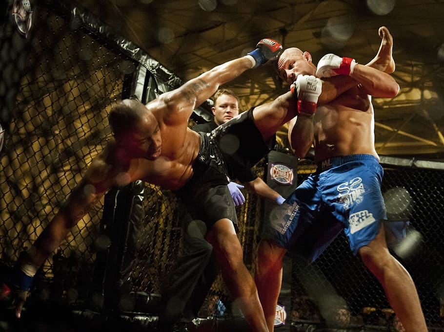 two, mma fighters, fighting, octagon, men, match, competition, martial arts, kick, athletes