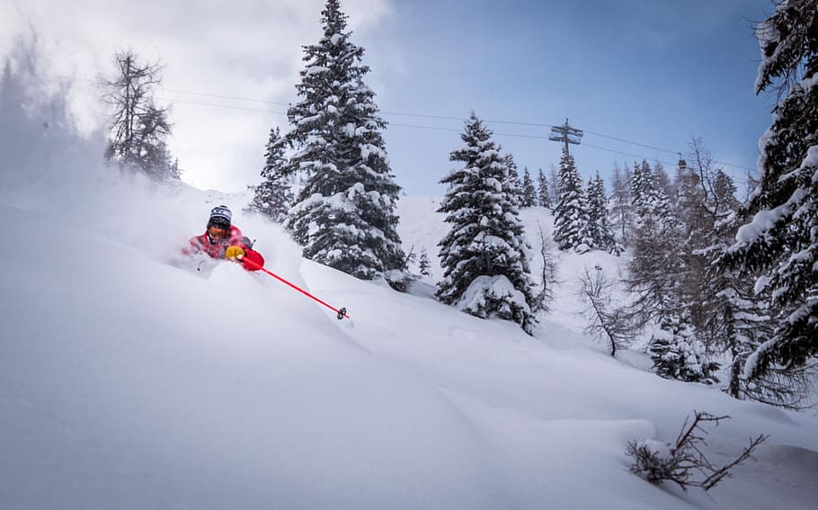 esquí, invierno, al aire libre, montaña, nieve, deporte, esquiador, temperatura fría, deporte de invierno, árbol