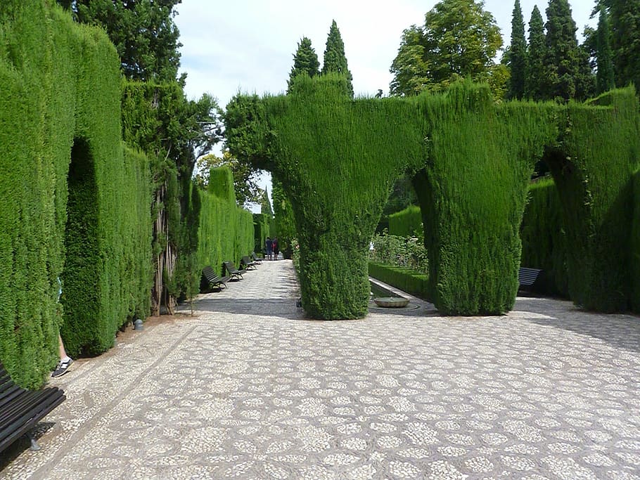 taman, alhambra, andalusia, spanyol, tanaman, pohon, warna hijau, pertumbuhan, jalan ke depan, arah