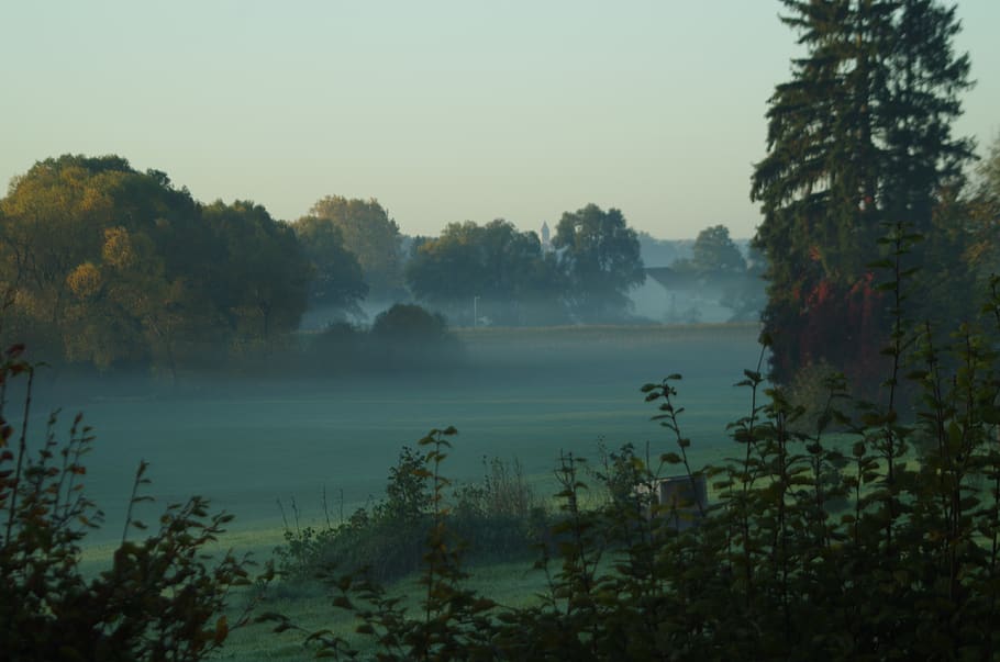 landscape, tafertshofen, fog, foggy, nature, mood, mystical, morgenstimmung, trees, magic