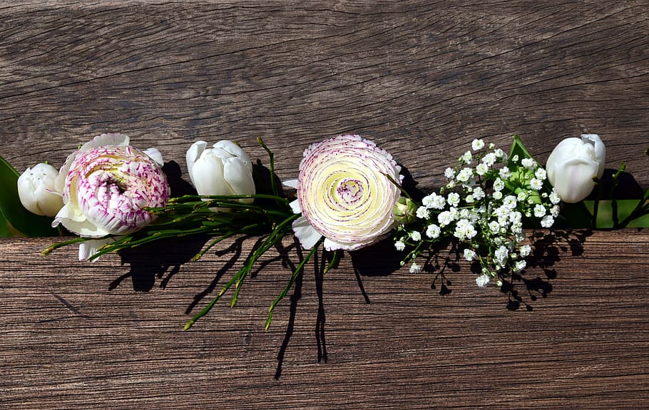 branco, flores de pétalas, marrom, de madeira, engradado, buquê, flores, primavera, tulipas, ranúnculo