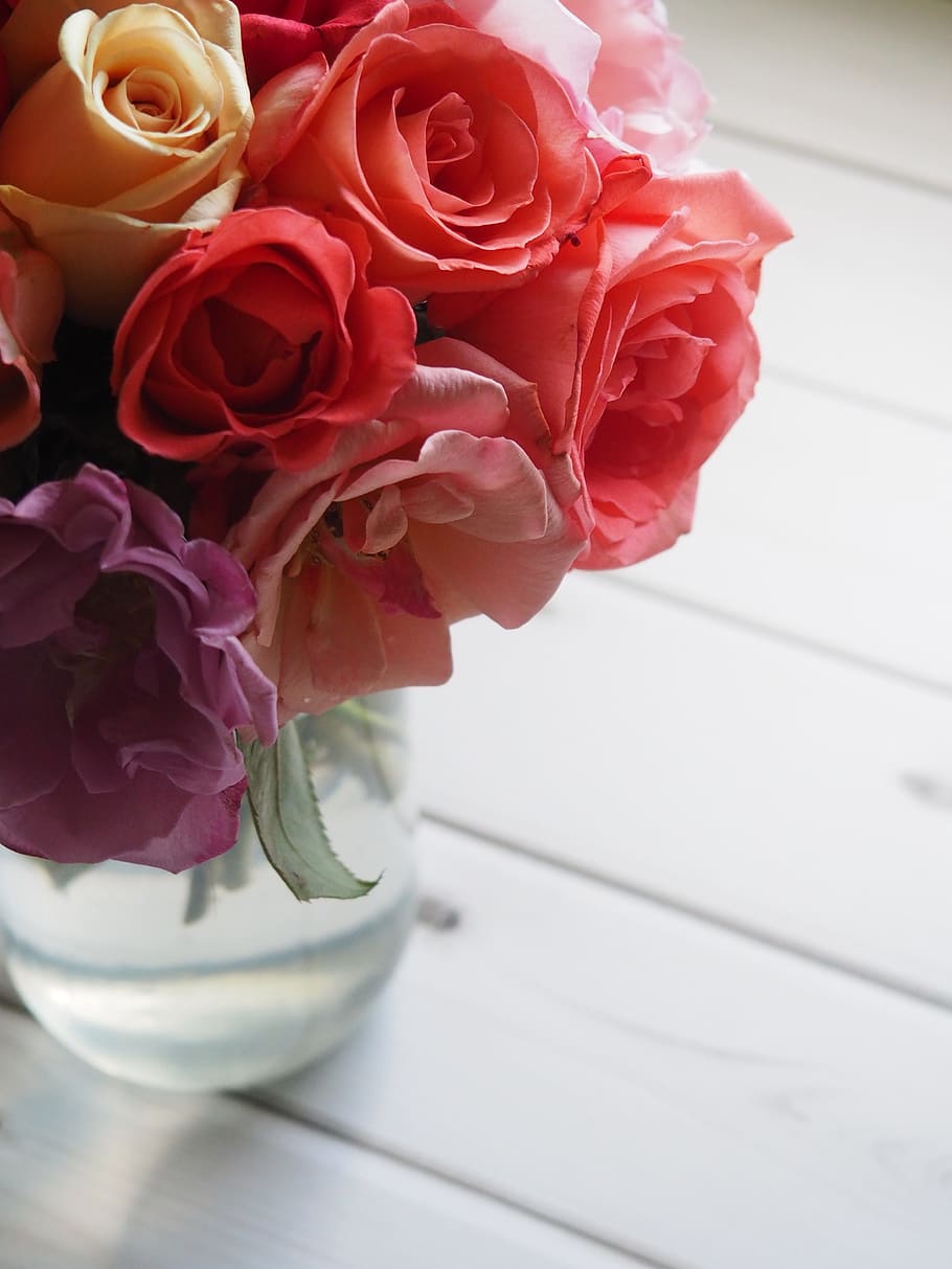 red, rose, flower, vase, floral, petal, bouquet, romantic, blooming, love