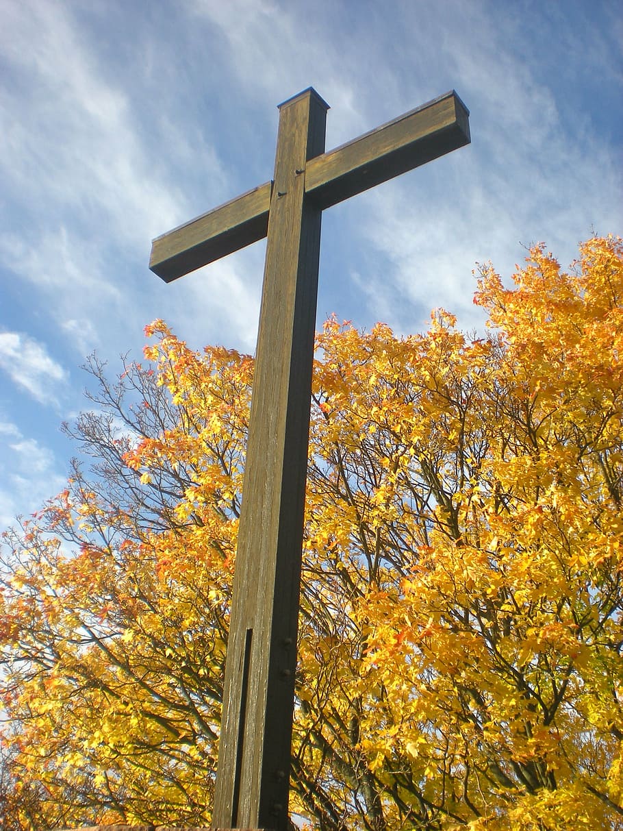cross, tree, autumn, christianity, religion, crucifix, spirituality, cross Shape, jesus Christ, catholicism