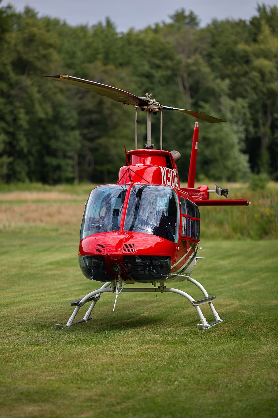 helicopter, red, planes, show, plant, nature, day, grass, mode of transportation, land