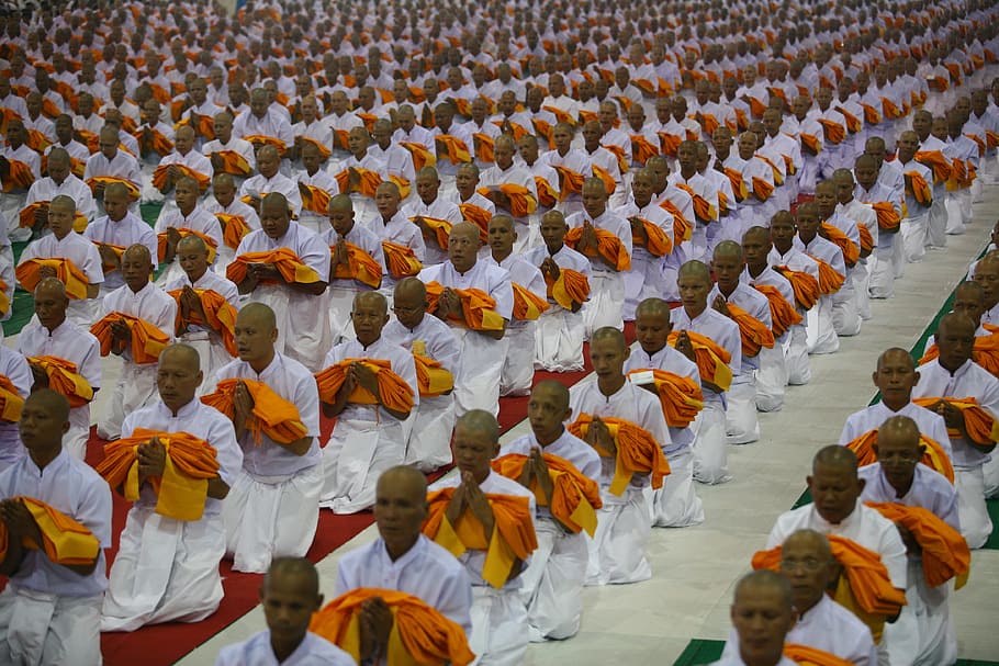 monjes, tailandia, sacerdocio, budismo, budistas, orando, ceremonia, tailandés, festival, tradición