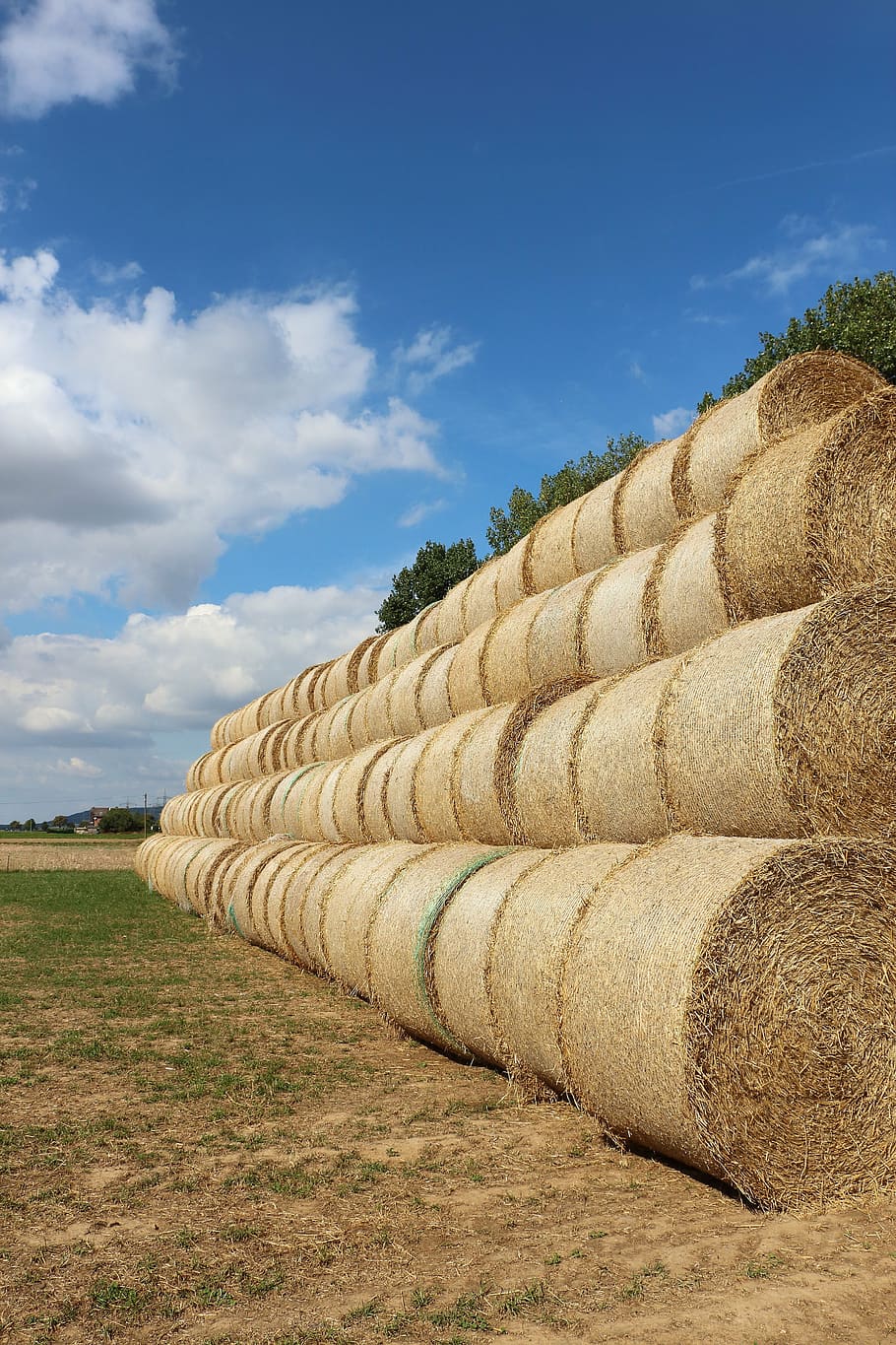 straw, straw bales, field, stubble, round bales, harvested, agriculture, clouds, sky, straw role