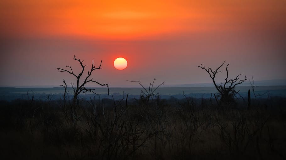 swaziland, africa, natural, savannah, sunset, sky, scenics - nature, sun, beauty in nature, tranquility