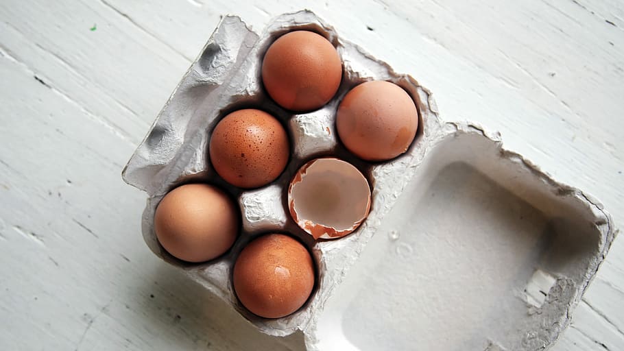 huevos frescos, desayuno, huevo, variedad, ingrediente, ingredientes, mañana, comida, marrón, primer plano