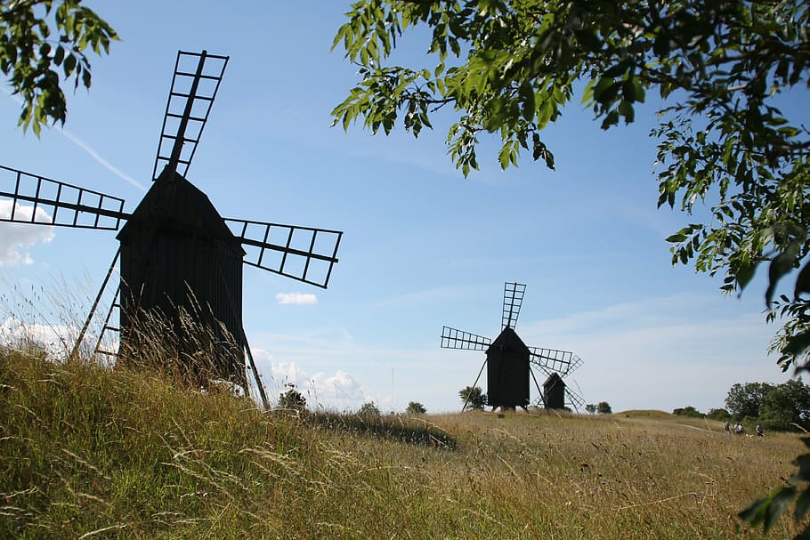 molino, suecia, öland, molino de viento, escena rural, naturaleza, culturas, agricultura, planta, cielo