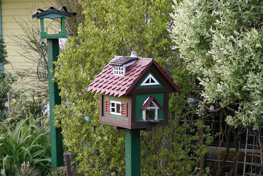 aviary, allotment, green, bird feeder, deco, plant, tree, architecture, built structure, birdhouse