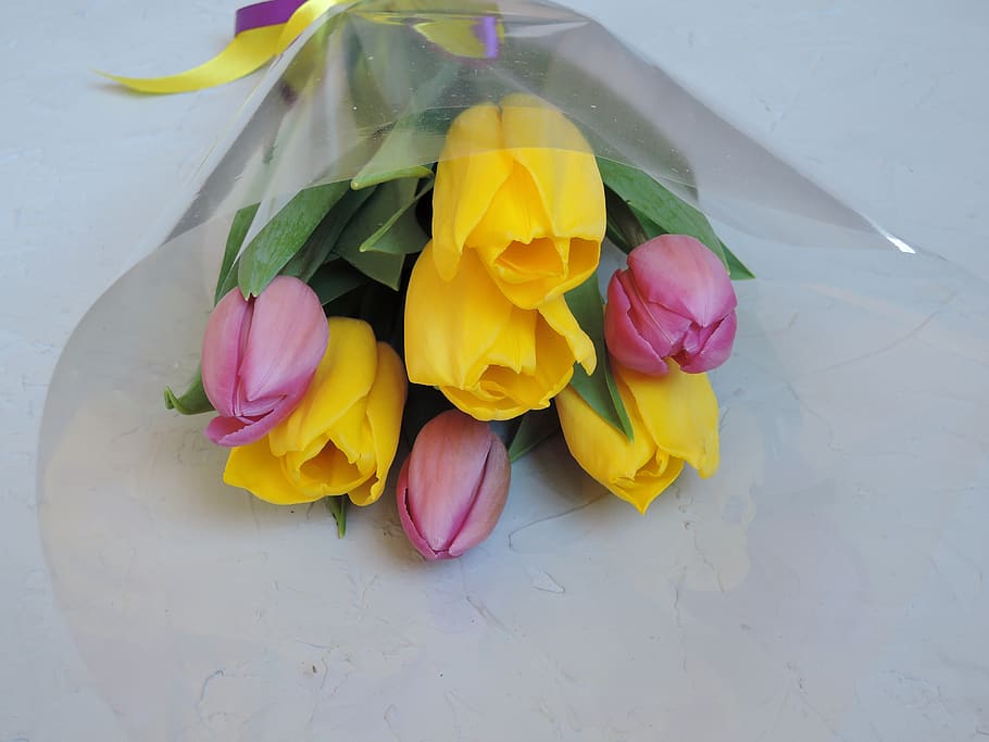 flowers, bouquet, pink, yellow, tulips, spring, march 8, flower, tulip, fresh