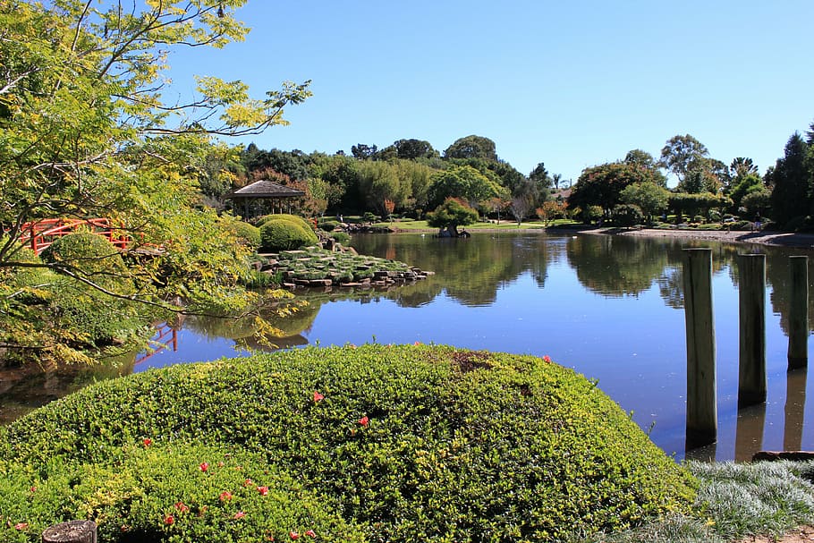 toowomba, queensland, japanese garden, park, tranquil, scenery, japanese, garden, peaceful, asian