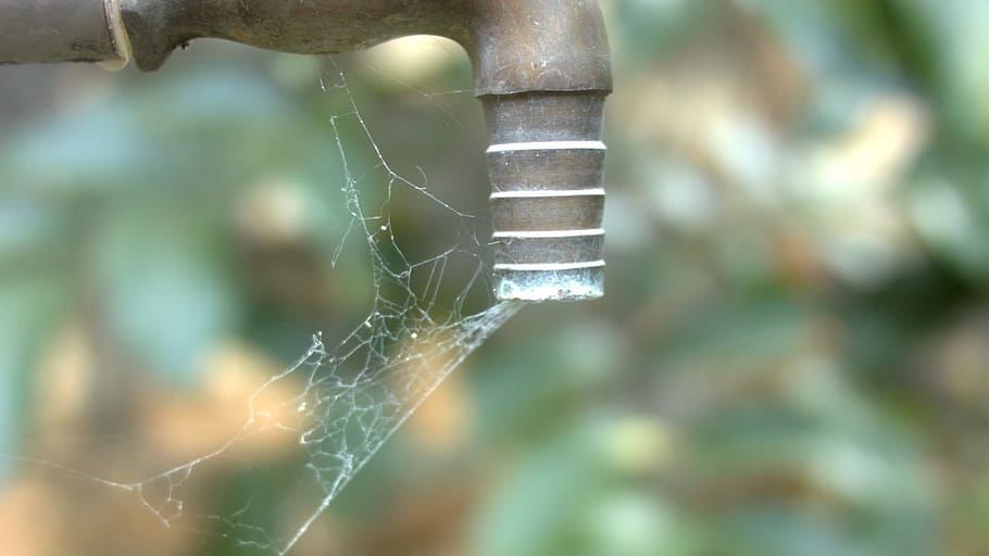 tap, water scarcity, spider web, no water, drought, close-up, focus on foreground, nature, day, fragility