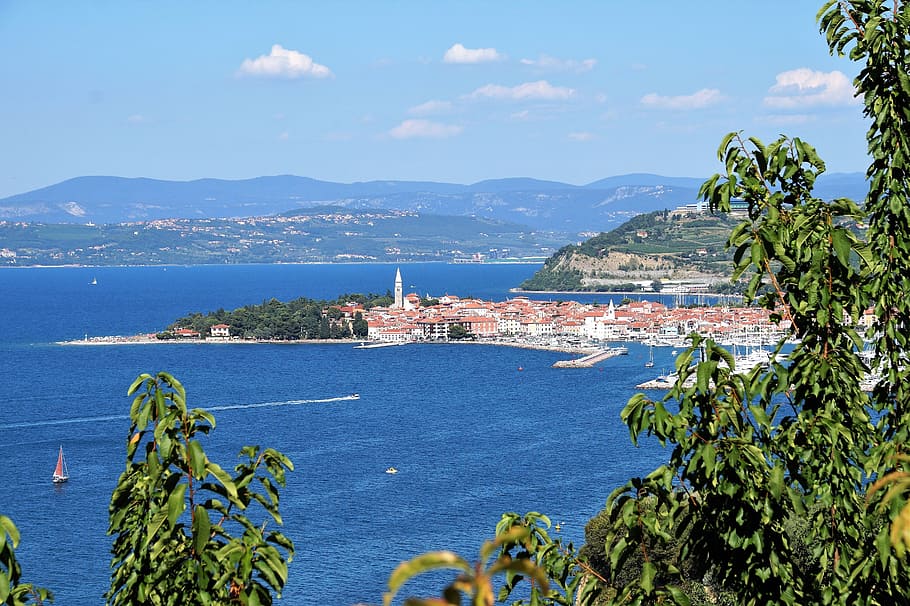 the town of izola, sea, slovenia, the historic city of, seaside, monument, old town, tower, architecture, summer