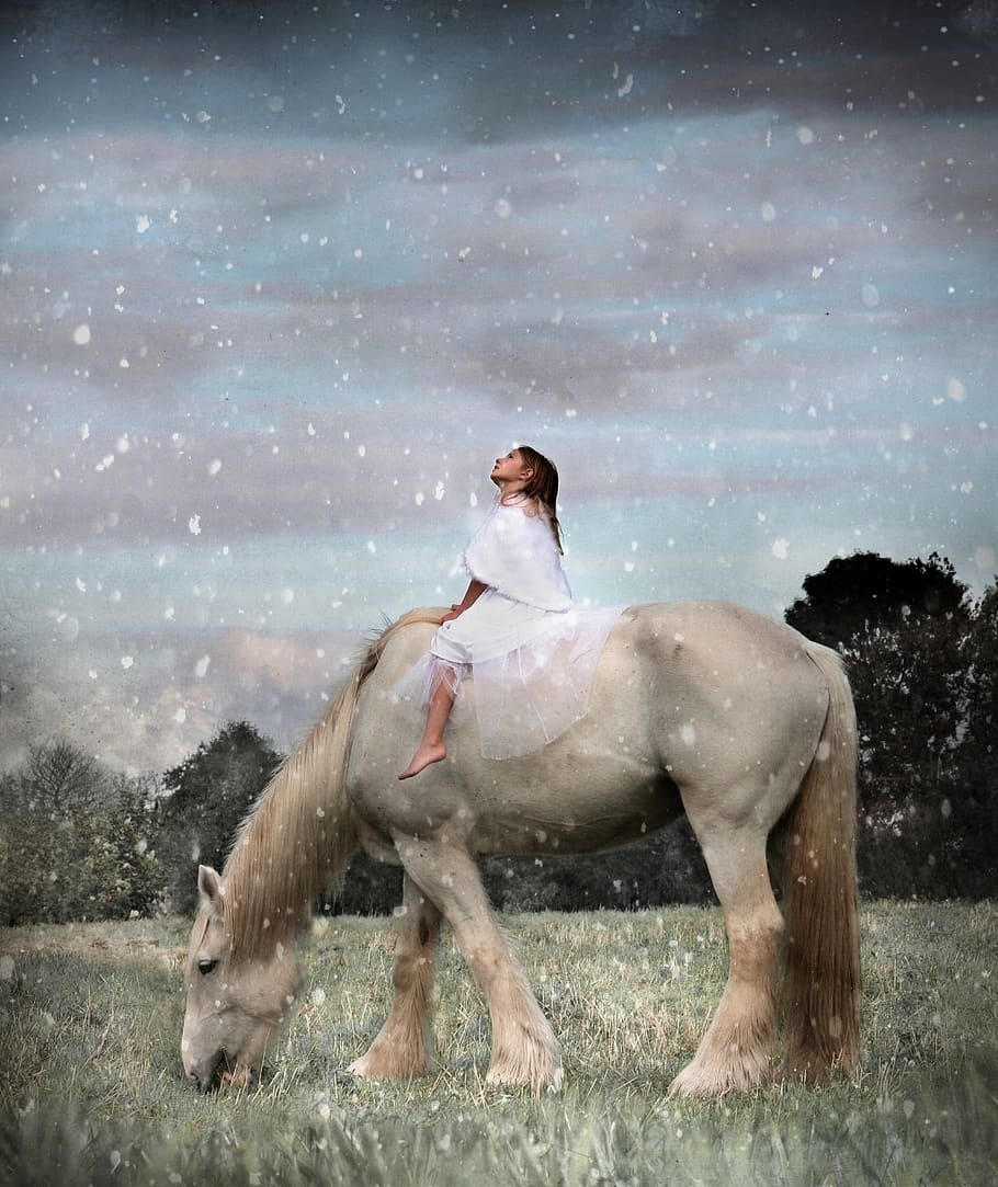 winter wonderland, christmas, winter, xmas, snow, snowfall, snowy, girl, white horse, wintry