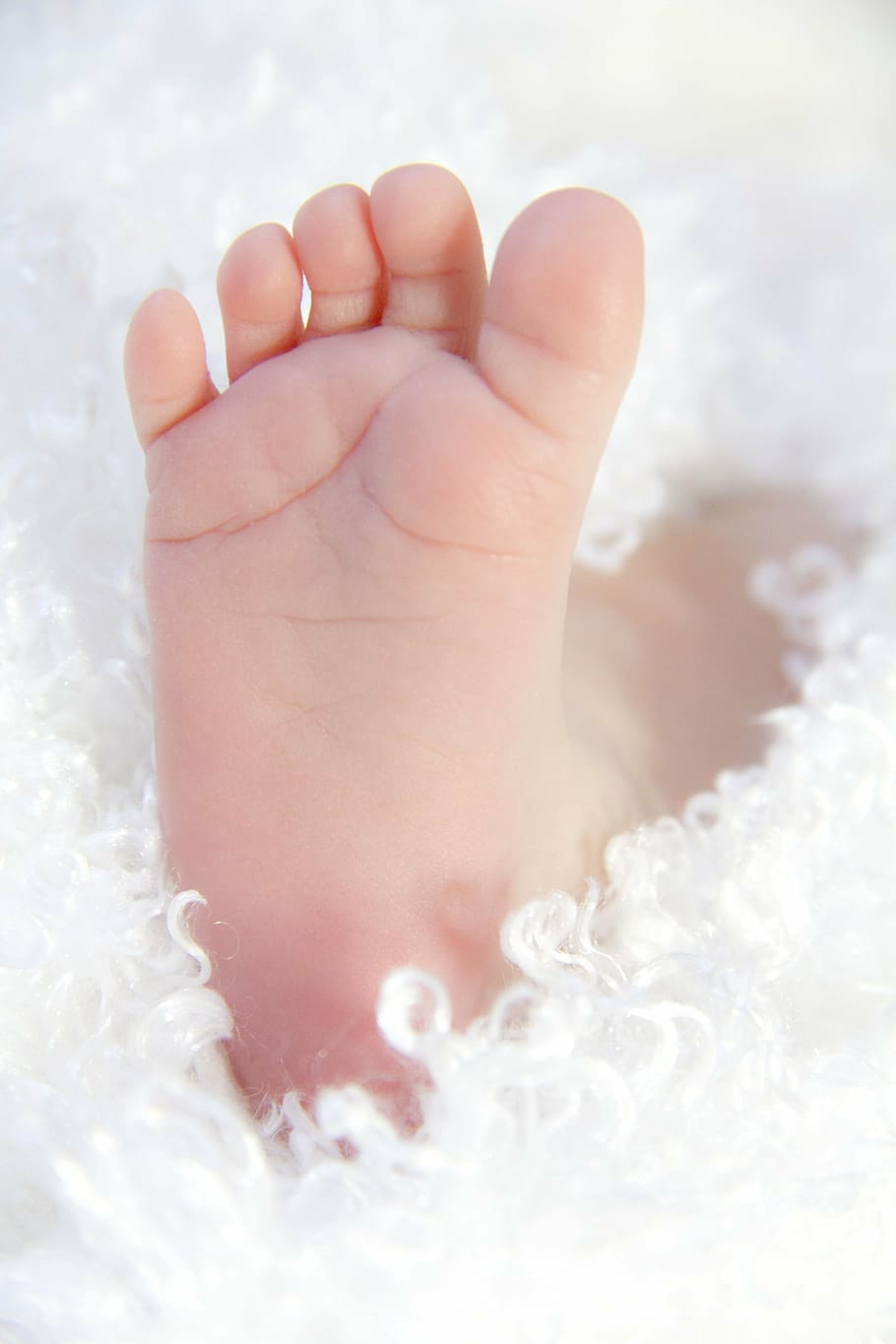 bebê, pé, raso, fotografia com foco, pés, recém-nascido, criança, pequeno, infância, amor