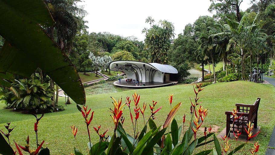 singapore, landscape, stage, amphitheater, flowers, grass, trees, palms, palm trees, nature