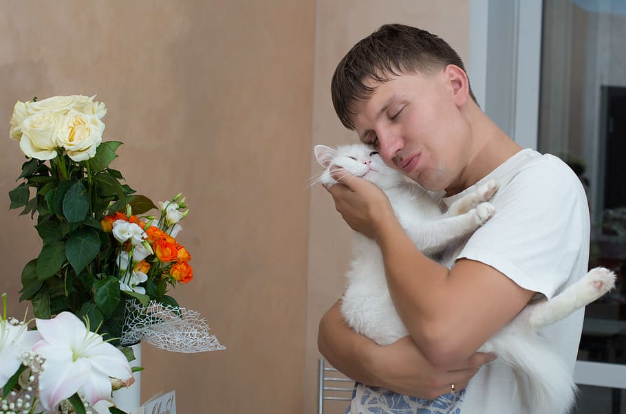 the guy loves the cat, favorite pet, white cat, flowers, to love an animal, adore, adoration, great, fidelity, flower