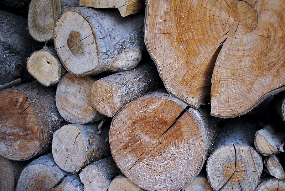 木材, 自然, 乾燥, 森林, 木, 乾燥木材, 木構造, 丸太, 木製ボード, スタック