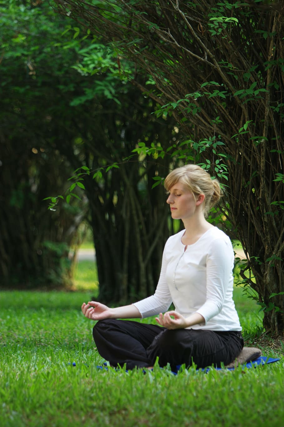 woman performing yoga, buddhist, meditation, woman, girl, wat, meditate, phra dhammakaya, temple, dhammakaya pagoda