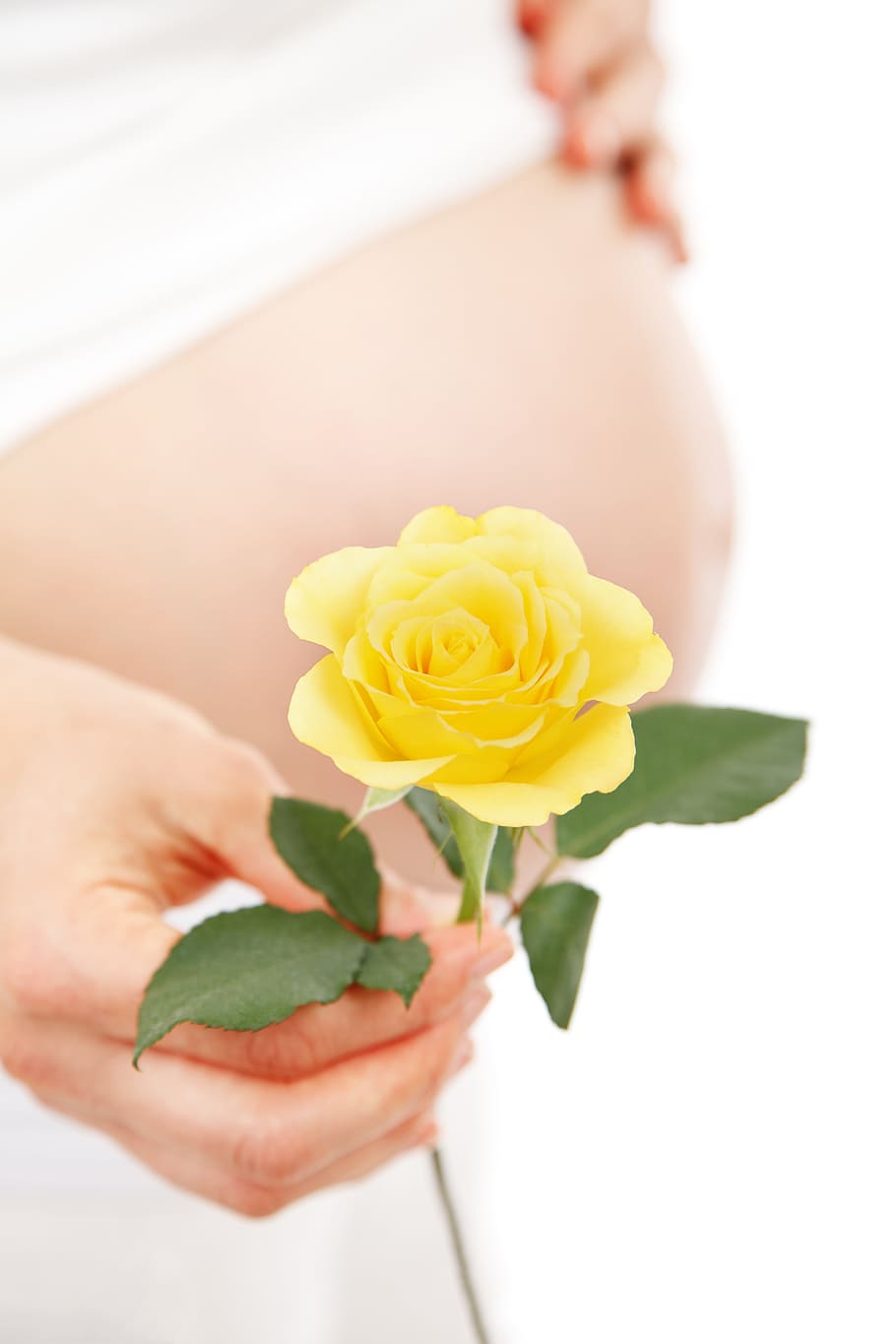 person, holding, yellow, petaled flower, yellow rose, baby, belly, body, expecting, female