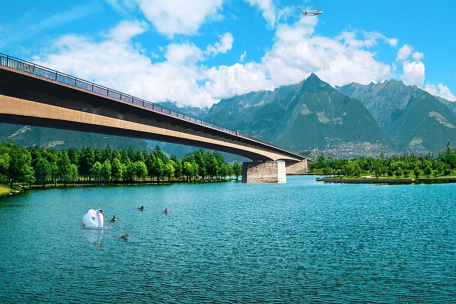 bridge, lake, water, mountains, park, landscape, swan, ducks, clouds, blue sky