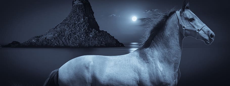 grayscale photo, horse, full, moon, design, night, island, sea, black and white, fantasy