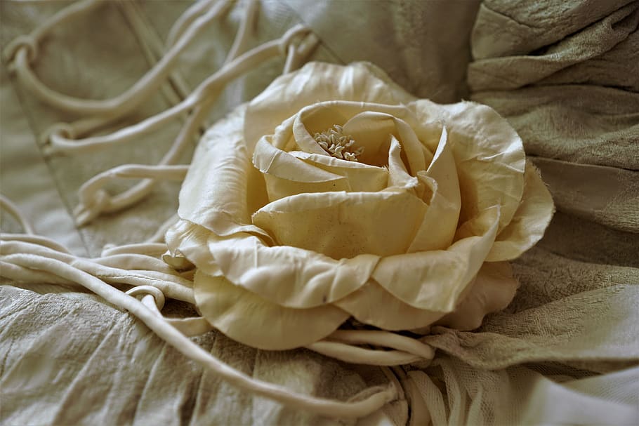 rose, fabric, flower, dress, wedding, invitation, beauty, material, silk, corsage