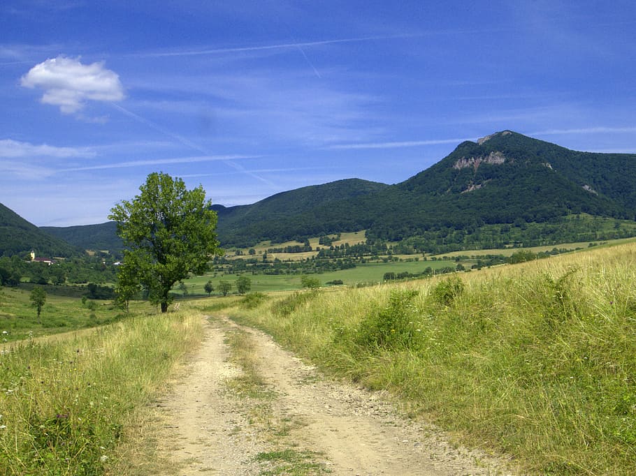 Eslovaquia, Strážov, Zliechov, montañas, pradera, camino, paisaje, planta, medio ambiente, montaña