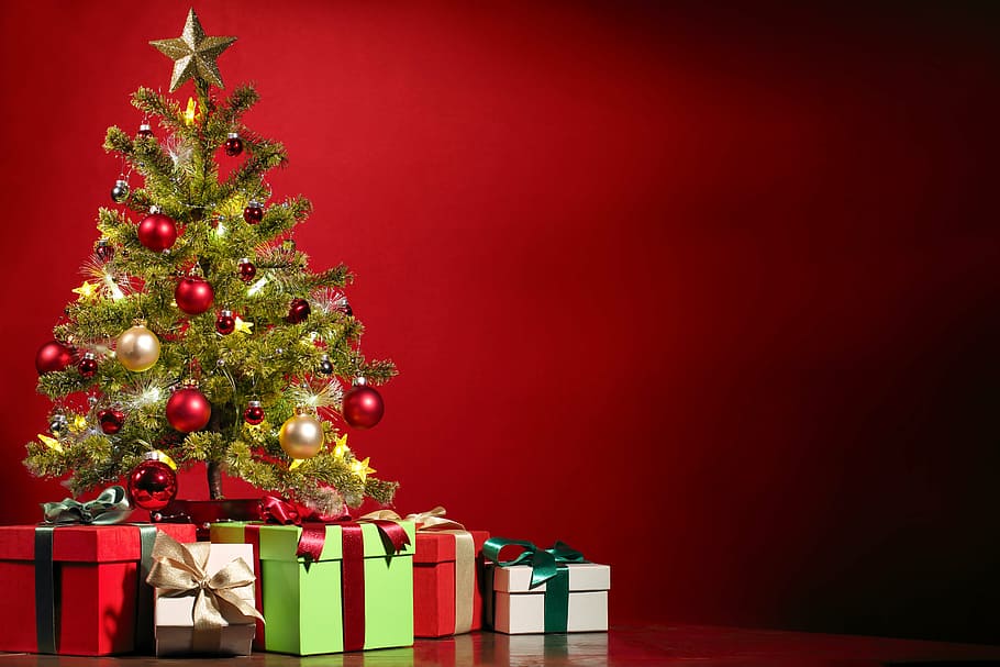 verde, árvores de natal, sortidas, caixas, natal, árvore de natal, decorar, decoração, presente, presentes