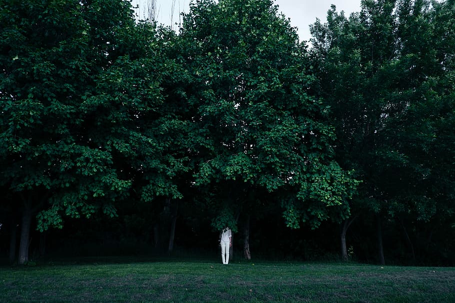 person, standing, tree, white, lady, middle, forest, green, trees, park