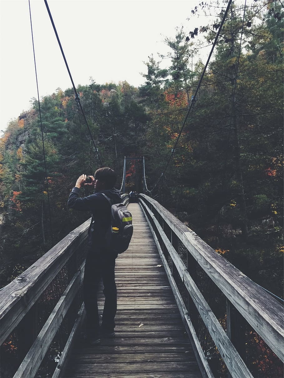 カメラを持っている人, 人, 立っている, 橋, 木材, 自然, 森, 男, 写真家, 写真