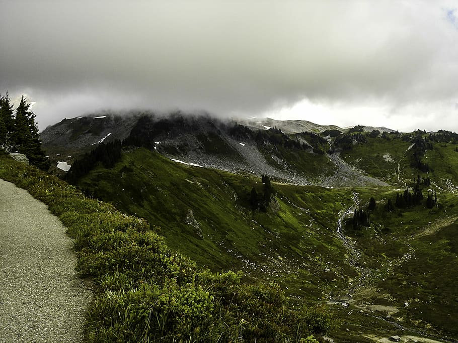 hills, trail, mount, rainier, national, park, Fog, over the hills, Mount Rainier National Park, Washington