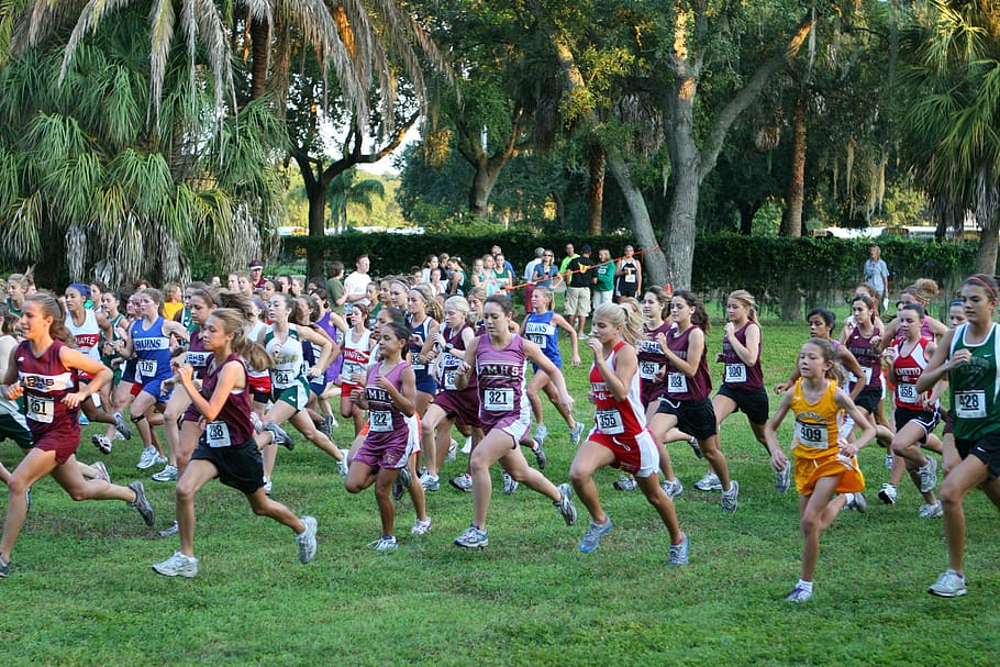 running-race-running-race-sport.jpg