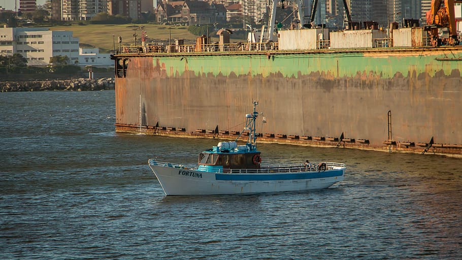 boat, mar del plata, argentina, port, nautical vessel, water, transportation, mode of transportation, sea, waterfront